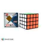 ShengShou ChuanQi(Legend) Cube 4x4