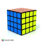 ShengShou ChuanQi(Legend) Cube 4x4