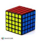 ShengShou Mr. M Cube 5x5