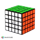 QiYi M Magnetic Cube 5x5
