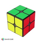 YuXin ZhiSheng Little Magic M Cube 2x2
